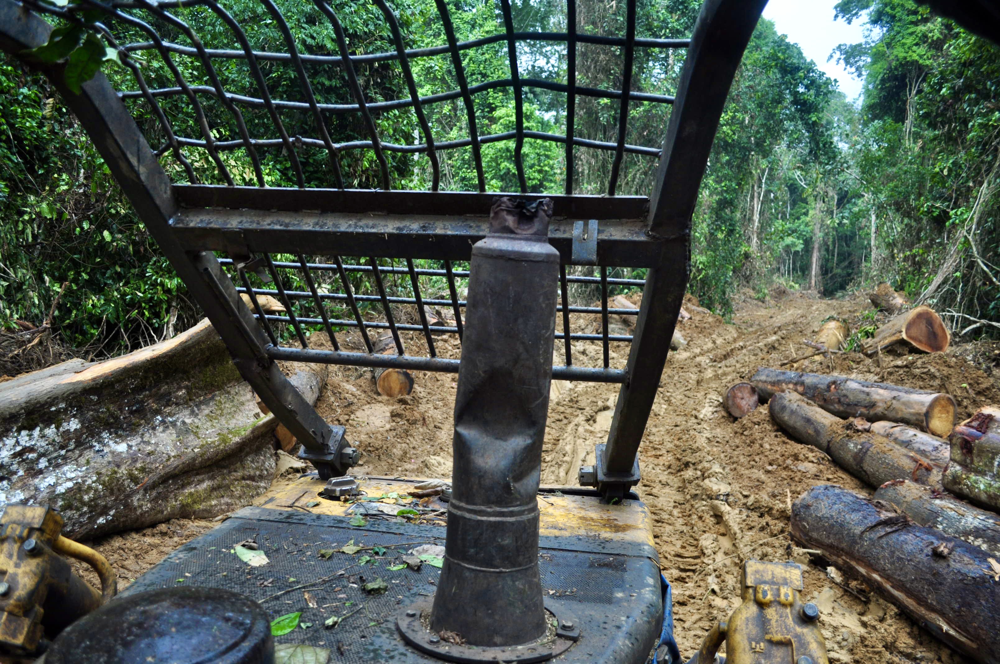 View on skidder of logs